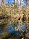 156 Horse Creek Rd photo